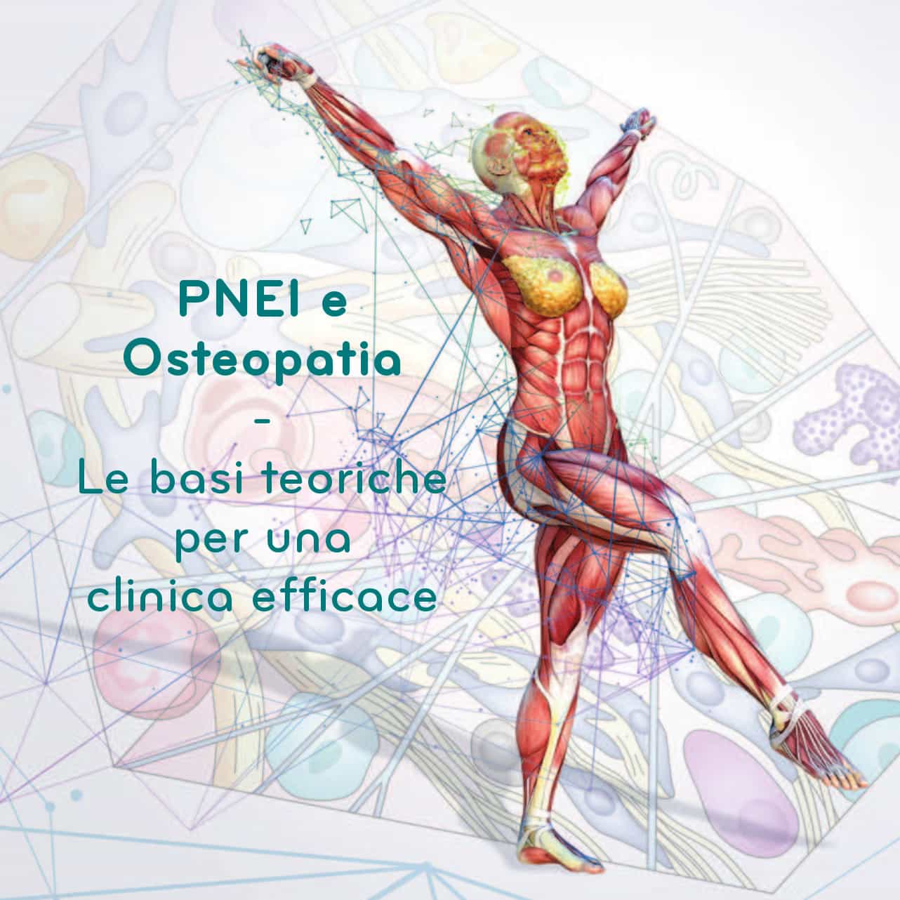 PNEI e Osteopatia: Le basi teoriche per una clinica efficace